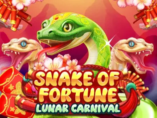 Snake of Fortune cover image